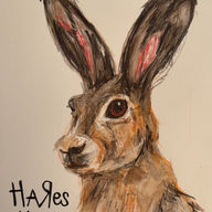 Hareshut.com